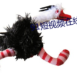 91短视频(頻)在线观(觀)看