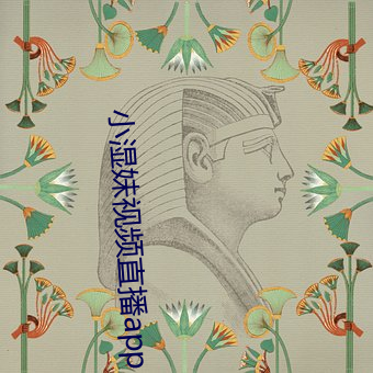 小湿妹视频直播(bō)app