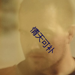 情天可(可)补