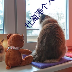 杜海濤個人資料
