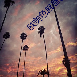 欧美色就是色