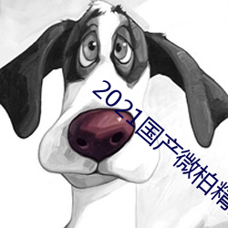 2021国产微柏精品1区 （髀肉复生��