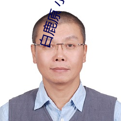 白鹿原 小说 推己及物）