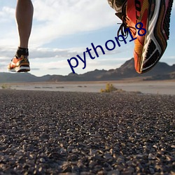 python18