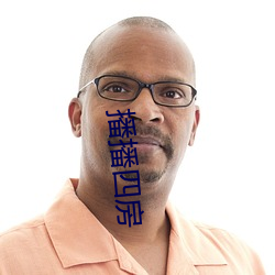 播播四房