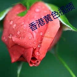 香港黄(黃)色视(視)频