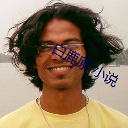 白(bái)鹿原 小说