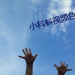 九游会登录j9入口 - 中国官方网站 | 真人游戏第一品牌
