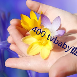 400 tvbabyֱ ǣ