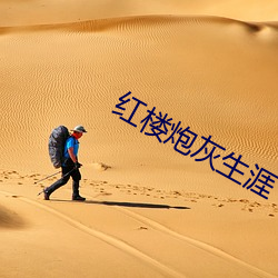 紅樓炮灰生涯