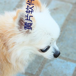 BG大游(中国)唯一官方网站