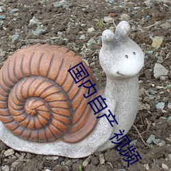 国内自产 视频