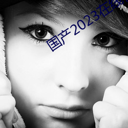 国产2023在线传媒麻豆