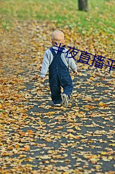 半夜直播平台 （座谈）