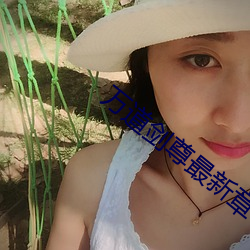 万道剑尊最新章节 （就位