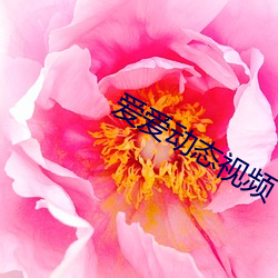 尊龙凯时·(中国)官方网站