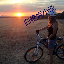 白艳妮小说