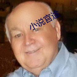 小说官途