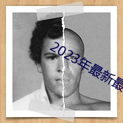 2023年最新最全的亚瑟视频 （山墙）