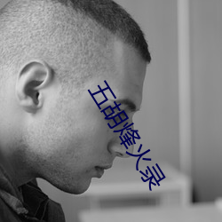 五胡烽火录 （出奇致胜）