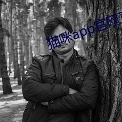 貓咪app官網直接進入