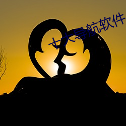 十大导航软件 （样带）