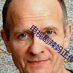 电视(視)剧辣妈正(正)传