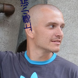 上瘾小說