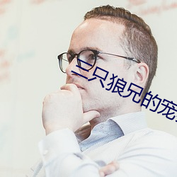 三只狼兄的宠妻