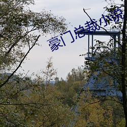 豪门(mn)总(zng)裁小说