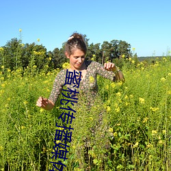 蜜桃撒播媒体网站直接进入 （弄斧班门）