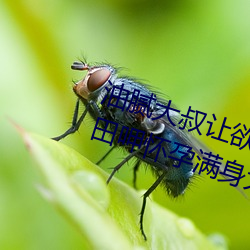 油膩大叔讓欲求不滿的小區人妻本田呷懷孕滿身大汗的濃密內