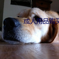 成人用品購買