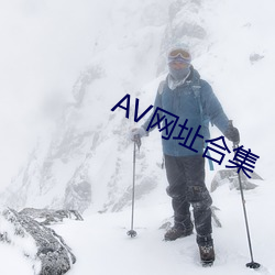 AG真人平台(中国)官方网站
