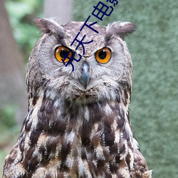 先(xiān)天下(xià)电(diàn)影院