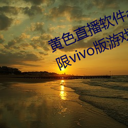 黄色直播软件app下载3.0.3每天无限vivo版游戏三天之内下载