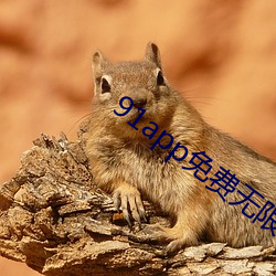 鸿运国际·(中国)会员登录入口