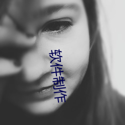 軟件制作