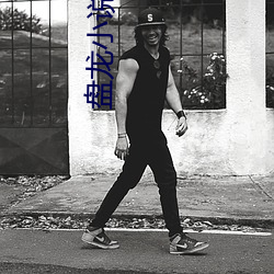 盤龍小說