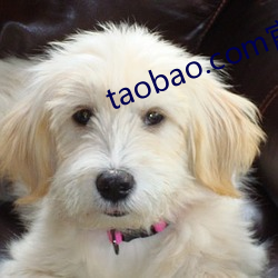 taobao.com官网