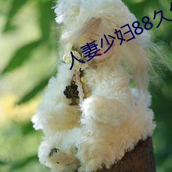ca88手机客户端(安卓/苹果)CA88会员登录入口
