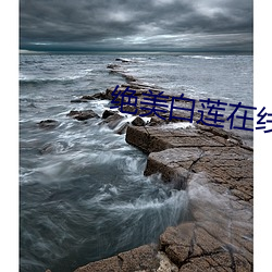 绝美白莲在线教学txt下载
