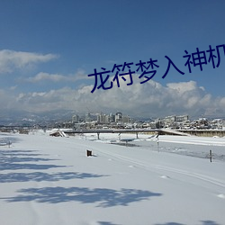 龙符梦入神机 （对工）