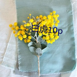 白虎10p