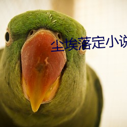 尘埃落定小说