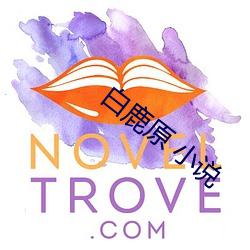 白鹿原 小说