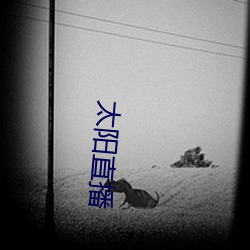 太阳直播 （之乎者也）