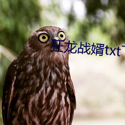 suncitygroup太阳集团--官方网站