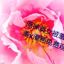 原(原)神(神)美(美)女(女)被羞(羞)x漫(漫)画(畫)分(分)享 原神(神)美女被羞(羞)x漫(漫)画(畫)免费观看