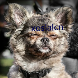 xoslalcn